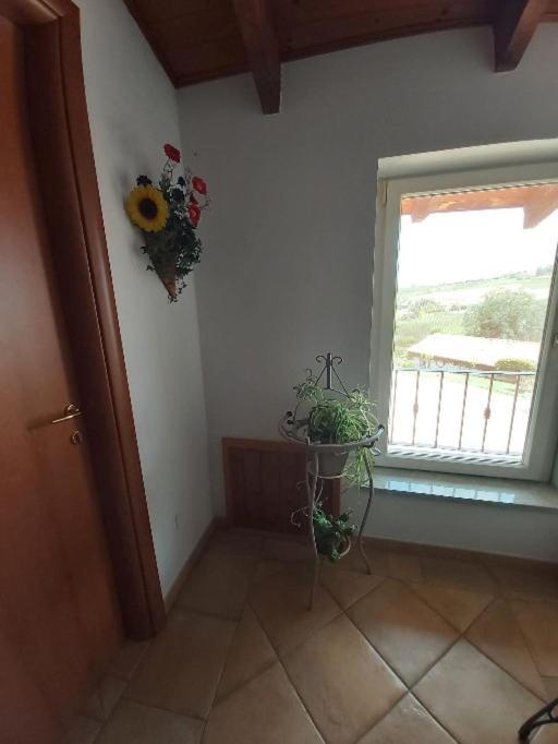 Cascina Cantaret Agriturismo San Marzano Oliveto Экстерьер фото